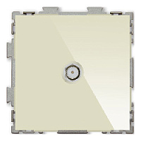 Дизайнерская розетка спутниковая SAT, бежевый, PL-W201S-BGG CGSS, серия Практика