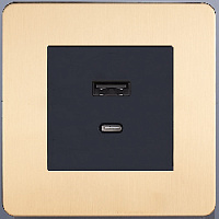 Дизайнерская розетка USB Type-C, золотой, SBAN33B3A12 Salvador, серия 24 Harmonie