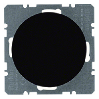 Заглушка с центральной панелью, черный, глянцевый, 10092045 Berker, серии R.1/R.3