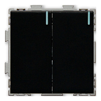 Дизайнерский выключатель с индикатором, черный, PL-W102-BCM, CGSS, двухклавишный, серия Практика