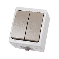 Дизайнерский выключатель IP54, белый/серый, SQ1803-0002 TDM ELECTRIC, двухклавишный, серия Вуокса