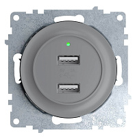Дизайнерская розетка USB двойная, с подсветкой, 2260091, серый, OneKeyElectro