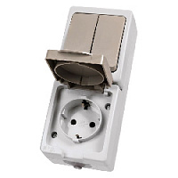 Дизайнерский выключатель двухклавишный + розетка с заземлением, шторками и с крышкой IP54, белый/серый, SQ1803-0013 TDM ELECTRIC, вертикальный блок, серия Вуокса