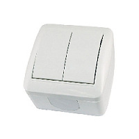 Дизайнерский выключатель IP44, белый, SQ1818-0002 TDM ELECTRIC, двухклавишный, серия Селигер