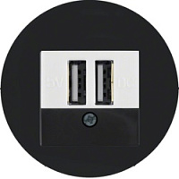 Розетка USB двойная, для зарядки, 1,4 А, вставка белая, черный глянцевый, 10382045 + 260209 Berker
