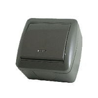 Дизайнерский выключатель IP44 с подсветкой, серый, SQ1818-0103 TDM ELECTRIC, одноклавишный, серия Селигер