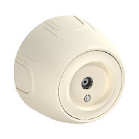 Дизайнерская розетка антенная TV, 7700882, бежевый, OneKeyElectro, серия Rotondo