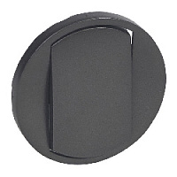 Клавиша выключателя, графит, 067901 Legrand, серия Celiane