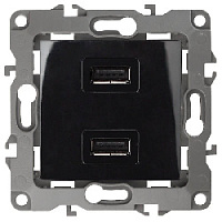 Дизайнерская розетка USB двойная, черный, Б0027496 Эра, серия 12