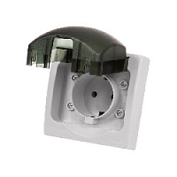 Дизайнерская розетка с крышкой, с заземлением IP54, белый/серый, SQ1803-0108 TDM ELECTRIC, серия Вуокса