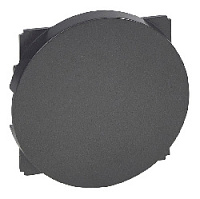 Заглушка, графит, 067943 Legrand, серия Celiane
