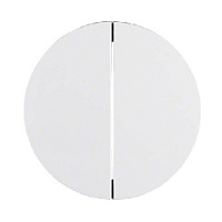 Двойная клавиша выключателя, полярная белизна, глянцевый, 16232089 Berker, серии R.1/R.3