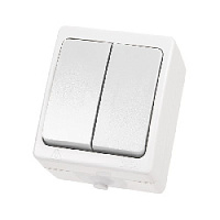 Дизайнерский выключатель IP54, белый, SQ1803-1002 TDM ELECTRIC, двухклавишный, серия Вуокса