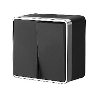 Дизайнерский выключатель влагозащищенный, черный хром, W5020235 Werkel, двухклавишный, серия Gallant