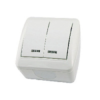 Дизайнерский выключатель IP44 с подсветкой, белый, SQ1818-0004 TDM ELECTRIC, двухклавишный, серия Селигер