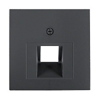 Центральная панель розетки UAE, антрацитовый, матовый, 14071606 Berker, серии S.1/B.3/B.7