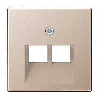 Накладка двойной розетки компьютерной/ телефонной, шампань, A569-2BFPLUACH Jung, серия A