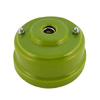 Розетка телевизионная, фисташковый, серебристая фурнитура, РТОФС ЛЕАНЗА