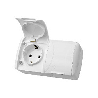 Дизайнерская двойная розетка с крышкой, с заземлением IP54, белый, SQ1818-0014 TDM ELECTRIC, серия Селигер