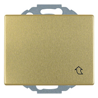 Дизайнерская розетка с заземлением и с крышкой, золотой, матовый, 47570002 Berker, серия Arsys