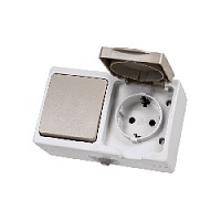 Дизайнерский выключатель одноклавишный + розетка с заземлением, шторками и с крышкой IP54, белый/серый, SQ1803-0010 TDM ELECTRIC, горизонтальный блок, серия Вуокса