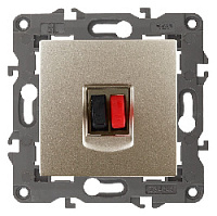 Дизайнерская аудио розетка, шампань, Б0034323 Эра, серия Elegance