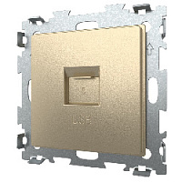 Дизайнерская розетка USB 2.1А, шампань, GL-W201U-BGG CGSS, серия Эстетика