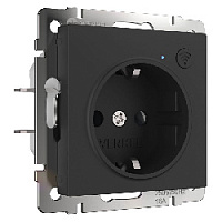Умная встраиваемая розетка с заземлением и защитными шторками, черный, W1171608 Werkel