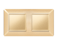 Дизайнерская рамка из термопластика 2 местная, шампань, AF110602 Ambrella Volt