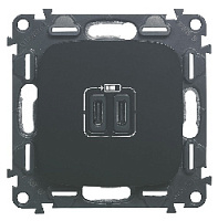 Дизайнерская розетка USB разъем C+C двойная, антрацит, 755348 Legrand, серия Valena Allure