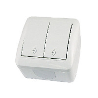 Дизайнерский выключатель IP44, белый, SQ1818-0012 TDM ELECTRIC, двухклавишный проходной, серия Селигер