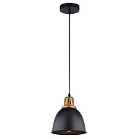 Лофт светильник подвесной Eurica, черный, A4245SP-1BK Arte Lamp