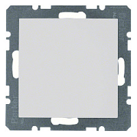 Заглушка с центральной панелью, полярная белизна, матовый, 10091909 Berker, серии S.1/B.3/B.7