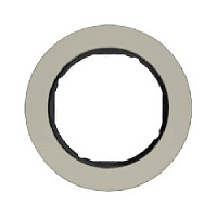 Дизайнерская рамка из металла 1 местная, нержавеющая сталь, 10112004 Berker