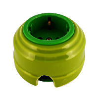 Ретро розетка проходная с/з, фисташковый, золотистая фурнитура, РПФЗ ЛЕАНЗА