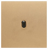 Дизайнерский выключатель, латунь, HH02-V1X-BR-N Plug, одноклавишный, серия Holt