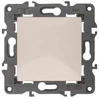 Дизайнерский выключатель, слоновая кость, Б0034208 Эра, одноклавишный, серия Elegance