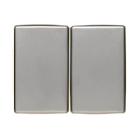 Двойная клавиша выключателя, нержавеющая сталь, матовый, 14340004 Berker, серия Arsys