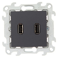 Дизайнерская розетка 2хUSB, графит, 2411090-038 Simon, серия 24 Harmonie