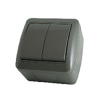 Дизайнерский выключатель IP44, серый, SQ1818-0102 TDM ELECTRIC, двухклавишный, серия Селигер