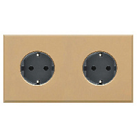 Дизайнерская двойная розетка с заземлением, латунь, V-04-rsx-rsx-BR-N Plug, серия Virgin