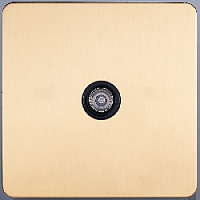 Розетка TV, SBAN33B3A14, золотой, Salvador