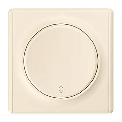 Дизайнерские выключатели Перекрестные