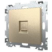 Дизайнерская розетка компьютерная RJ-45 кат. 5e, шампань, GL-W201C-BGG CGSS, серия Эстетика