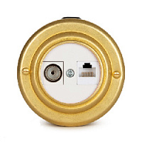 Розетка компьютерная RJ-45+TV кат. 5е с белой вставкой интернет, золото 40401-6 Vintage-Brass