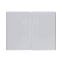 Двойная клавиша выключателя, полярная белизна, глянцевый, 14350069 Berker, серия Arsys