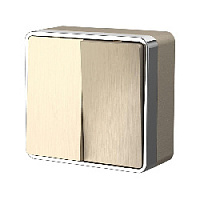 Дизайнерский выключатель, шампань рифленый, W5020010 Werkel, двухклавишный, серия Gallant