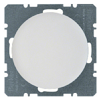 Заглушка с центральной панелью, полярная белизна, глянцевый, 10092089 Berker, серии R.1/R.3