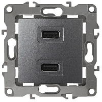 Дизайнерская розетка USB двойная, графит, Б0027497 Эра, серия 12