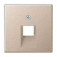 Накладка розетки компьютерной/ телефонной, шампань, A569-1PLUACH Jung, серия A